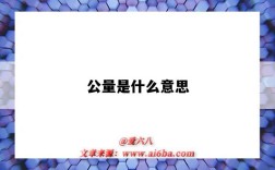 公量是什么意思（什么叫“公量”?）