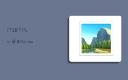 morrison货代,Morrison货代公司