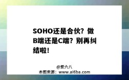 SOHO还是合伙？做B端还是C端？别再纠结啦！