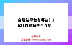 自建站平台有哪些？2021自建站平台介绍（自建站哪个平台好）