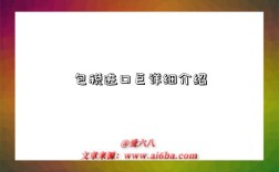 包税进口巨详细介绍