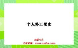 个人外汇买卖