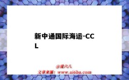 新中通国际海运-CCL（新中通国际海运有限公司）