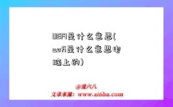 UEFI是什么意思(uefi是什么意思电脑上的)