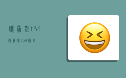 俄罗斯t34,俄罗斯T34图片