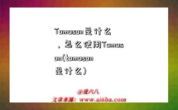 Tomoson是什么，怎么使用Tomoson(tomoson是什么)