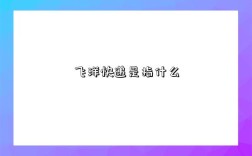 飞洋快递是指什么