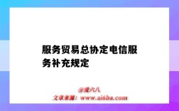 服务贸易总协定电信服务补充规定