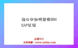 出口中如何获得SONCAP认证