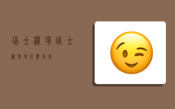 瑞士机场,瑞士机场叫什么名字