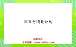 EORI 号码是什么