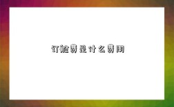 订舱费是什么费用