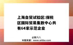 上海自贸试验区:保税区国际贸易集散中心共有64家示范企业