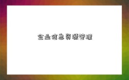 企业信息资源管理