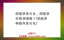 托运单是什么，托运单分类有哪些？(托运单的编号是什么)