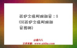 苏伊士运河附加费：SCS(苏伊士运河附加费简称)