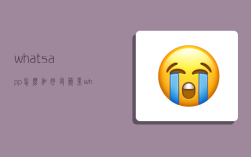 whatsapp怎么加好友,苹果whatsapp怎么加好友