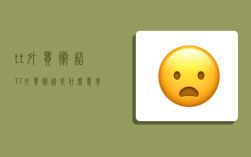tt外贸术语,TT外贸术语是什么意思