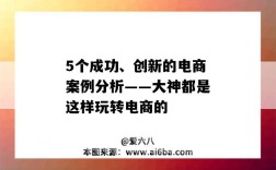 5个成功、创新的电商案例分析——大神都是这样玩转电商的（电商模式创新成功案例）