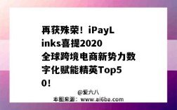 再获殊荣！iPayLinks喜提2020全球跨境电商新势力数字化赋能精英Top50！（ipaylinks融资）