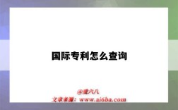 国际专利怎么查询（国际专利怎么查询授权信息）