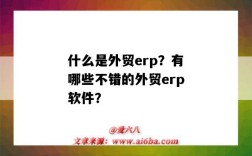 什么是外贸erp？有哪些不错的外贸erp软件？（外贸erp软件都有哪些）