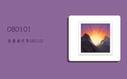 080101制海运提单,080102制海运提单