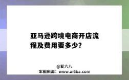 亚马逊跨境电商开店流程及费用要多少？