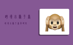 跨境小众平台,跨境小众平台有哪些