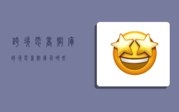 跨境电商智库,跨境电商智库有哪些