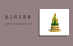 安徽国际货运代理,安徽国际货运代理有限公司