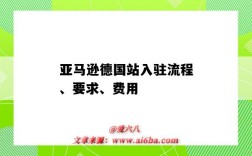 亚马逊德国站入驻流程、要求、费用（亚马逊德国站开店费用）