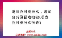 易宝支付是什么，易宝支付资质有哪些(易宝支付是什么软件)