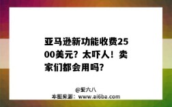 亚马逊新功能收费2500美元？太吓人！卖家们都会用吗？（亚马逊要收费吗）