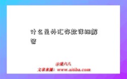 什么是外汇存款详细解答