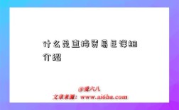 什么是直接贸易巨详细介绍