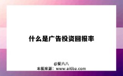 什么是广告投资回报率（广告的投资回报率）