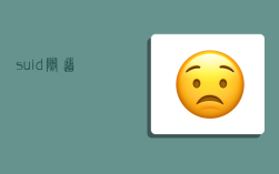 suid,隧道