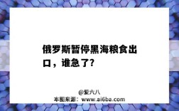 俄罗斯暂停黑海粮食出口，谁急了？