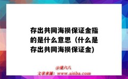存出共同海损保证金指的是什么意思（什么是存出共同海损保证金)