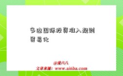 多边国际投资准入规则贸易化