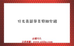 什么是原单巨详细介绍