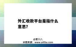 外汇收款平台是指什么意思？