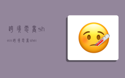 跨境电商shein,跨境电商shein怎么样