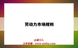 劳动力市场规则