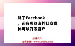 除了Facebook，还有哪些海外社交媒体可以开发客户（facebook是社交媒体吗）