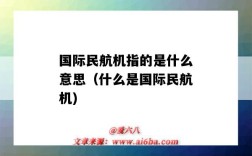 国际民航机指的是什么意思（什么是国际民航机)