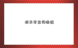 报关单查询流程