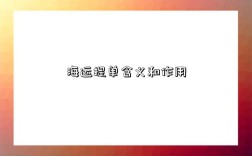 海运提单含义和作用