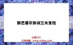 新巴塞尔协议三大支柱（新巴塞尔协议三大支柱信息披露）